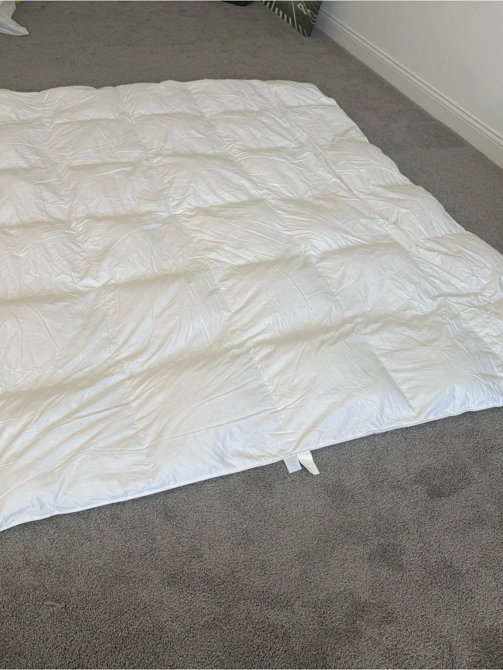 Legends Hotel Alberta medium warmth down comforter